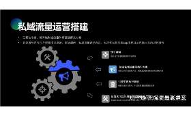 胖胖电商干货，打造高效运营策略，助力商家快速成长